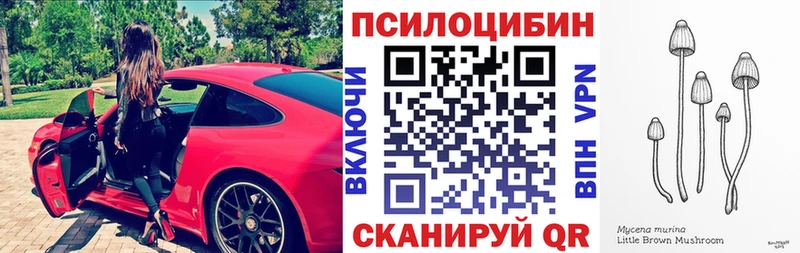 Галлюциногенные грибы Psilocybe  Купить закладки  Нижняя Салда 
